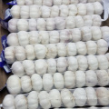 Hot sales new crop China/Chinese fresh garlic pure white garlic for wholesale